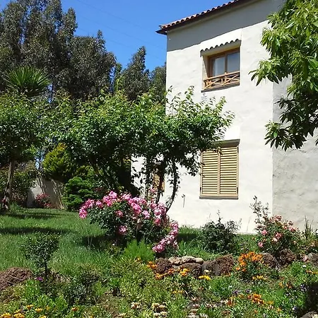 Villa Floral