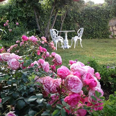 Floral Villa La Esperanza (Tenerife)