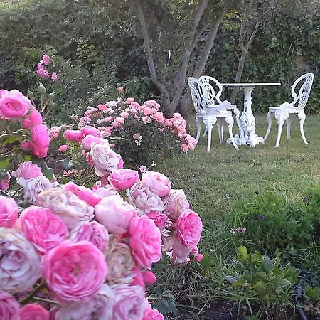 Floral Villa